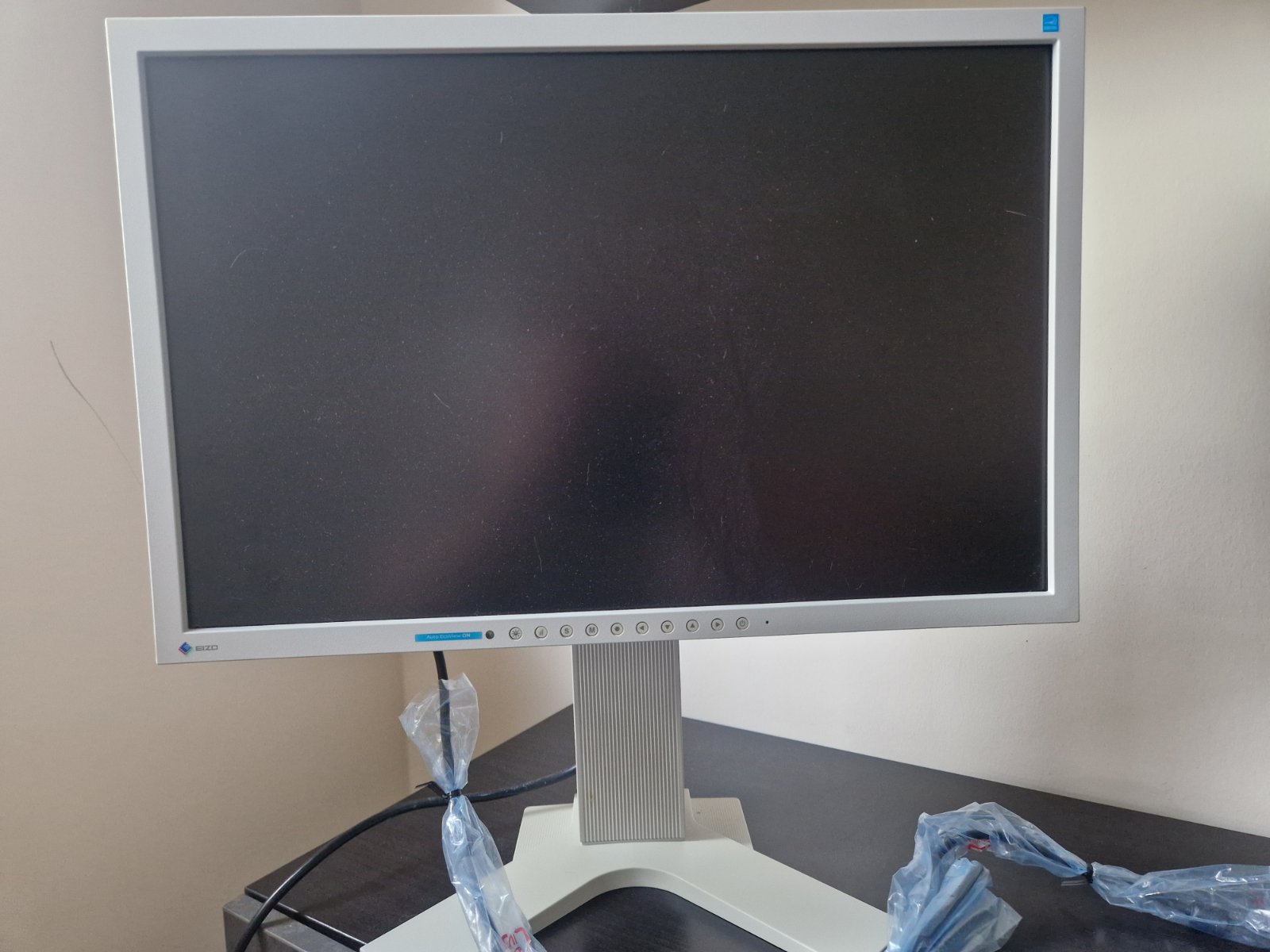 Eizo_1.jpg